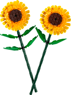 Galeria - zdjęcie nr. 2 - LEGO Botanicals  Słoneczniki 40524
