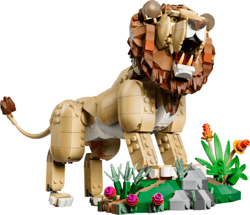 Galeria - zdjęcie nr. 2 - LEGO Creator 3w1 Dzikie Zwierzęta dumny Lew 31386