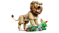 Galeria - zdjęcie nr. 3 - LEGO Creator 3w1 Dzikie Zwierzęta dumny Lew 31386