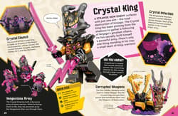 Galeria - zdjęcie nr. 5 - LEGO Ninjago. Secret World of the Ninja New Edition.  wer. angielska