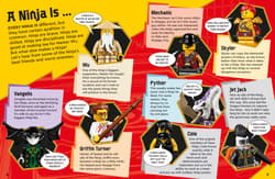Galeria - zdjęcie nr. 3 - LEGO Ninjago. Secret World of the Ninja New Edition.  wer. angielska