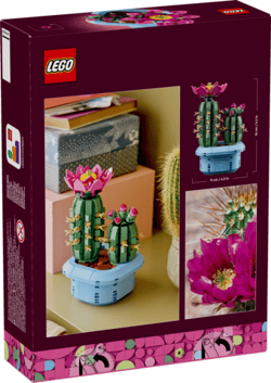 Galeria - zdjęcie nr. 3 - LEGO(R) BOTANICALS 11509 Kwitnący kaktus
