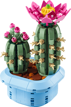 Galeria - zdjęcie nr. 2 - LEGO(R) BOTANICALS 11509 Kwitnący kaktus