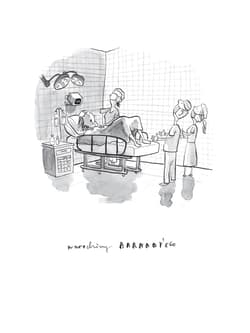 Galeria - zdjęcie nr. 2 - Lekkie życie Barnaby'ego Brocketa