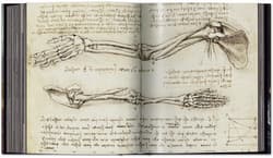 Galeria - zdjęcie nr. 2 - Leonardo. The Complete Paintings and Drawings