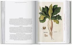 Galeria - zdjęcie nr. 2 - Leonhart Fuchs. The New Herbal