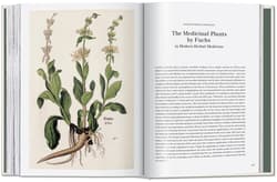 Galeria - zdjęcie nr. 3 - Leonhart Fuchs. The New Herbal