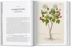 Galeria - zdjęcie nr. 5 - Leonhart Fuchs. The New Herbal