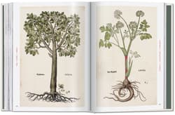 Galeria - zdjęcie nr. 2 - Leonhart Fuchs. The New Herbal