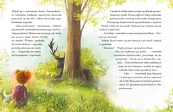 Galeria - zdjęcie nr. 4 - Leśne obrazy. Misia i jej mali pacjenci