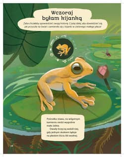 Galeria - zdjęcie nr. 2 - Leśne opowieści 