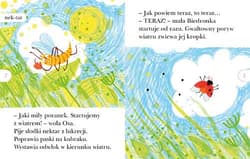 Galeria - zdjęcie nr. 2 - Letni koncert. Czytam sobie. Poziom 2