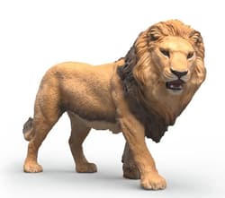 Lew
