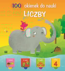 Liczby. 100 okienek do nauki - Opracowanie Zbiorowe