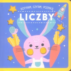 Liczby. Dotykam, czytam, poznaję - Binny Talib