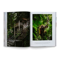 Galeria - zdjęcie nr. 2 - Life on the Road. Around the World on Four Wheels wer. angielska