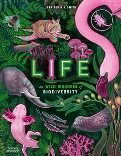 Life wer. angielska