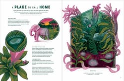 Galeria - zdjęcie nr. 2 - Life wer. angielska