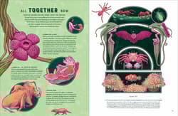 Galeria - zdjęcie nr. 3 - Life wer. angielska