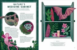 Galeria - zdjęcie nr. 4 - Life wer. angielska