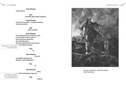 Galeria - zdjęcie nr. 2 - Lilla Weneda