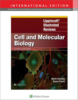 Lippincott Illustrated Reviews: Cell and Molecular Biology - Chandar Nalini, Susan M. Viselli
