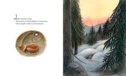 Galeria - zdjęcie nr. 4 - Lis i skrzat