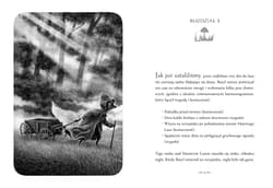 Galeria - zdjęcie nr. 2 - Lis z Martwego Lasu