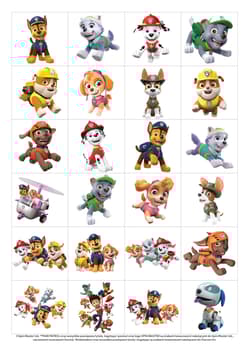 Galeria - zdjęcie nr. 3 - Litery z Psim Patrolem. Psi Patrol. Na start… 6