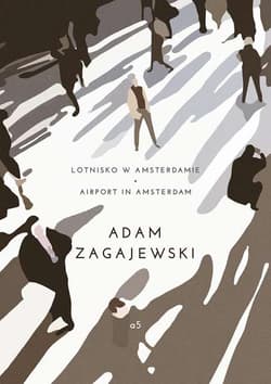 Lotnisko w Amsterdamie/ Airport in Amsterdam - Adam Zagajewski