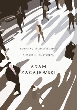 Lotnisko w Amsterdamie/ Airport in Amsterdam - Adam Zagajewski