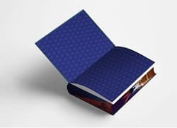 Galeria - zdjęcie nr. 2 - Lśnienie (ilustrowane brzegi)