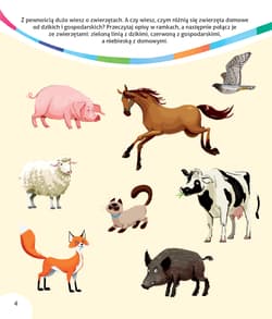 Galeria - zdjęcie nr. 2 - Lubię zwierzęta, zostanę…