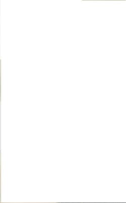 Lubomirscy w XVIII wieku. Rodzina i sprawy gospodarcze - Zimerman Magdalena