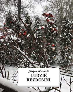 Ludzie bezdomni - ebook - Stefan Żeromski