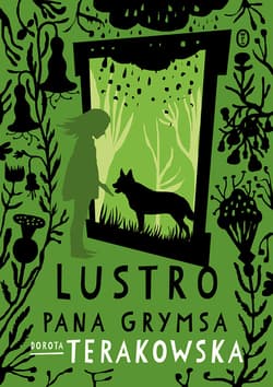 Lustro pana Grymsa - ebook - Dorota Terakowska