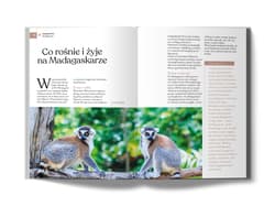 Galeria - zdjęcie nr. 2 - Madagaskar i Nose Be. Złota Seria