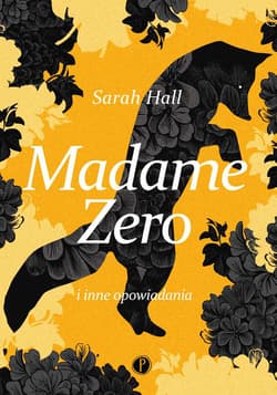Madame Zero i inne opowiadania - Sarah  Hall