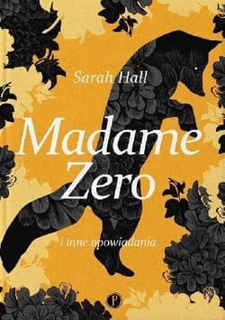 Madame Zero i inne opowiadania - Sarah  Hall