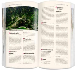 Galeria - zdjęcie nr. 2 - Madera zestaw przewodnikowy 2w1 light PL 2024