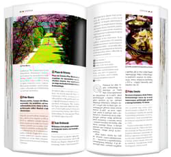 Galeria - zdjęcie nr. 2 - Madryt Zestaw Przewodnikowy 2w1 light 2026