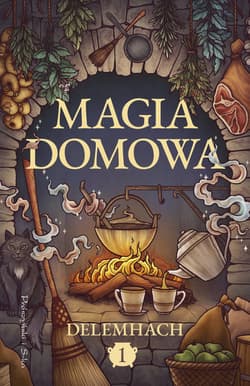 Magia domowa. Tom 1 - Magdalena Rychlik