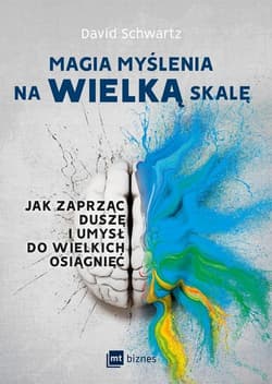 Magia myślenia na wielką skalę Jak zaprząc duszę i umysł do wielkich osiągnięć - David N Schwartz