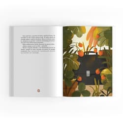 Galeria - zdjęcie nr. 2 - Magiczne Kamienie