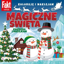 Magiczne Święta - Praca zbiorowa