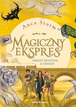 Magiczny ekspres 2. Między światłem a cieniem - Anca Sturm
