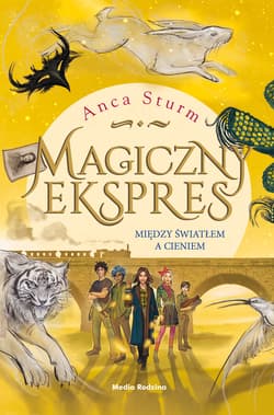 Magiczny ekspres 2. Między światłem a cieniem - ebook - Anca Sturm