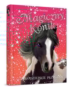 Magiczny konik. Czarodziejskie przygody