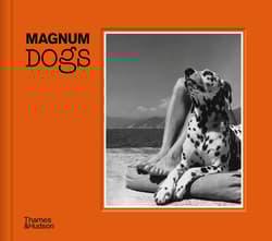 Magnum dogs wer. angielska - Jonny Clowes, Magnum Photos
