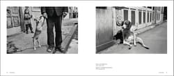 Galeria - zdjęcie nr. 4 - Magnum dogs wer. angielska